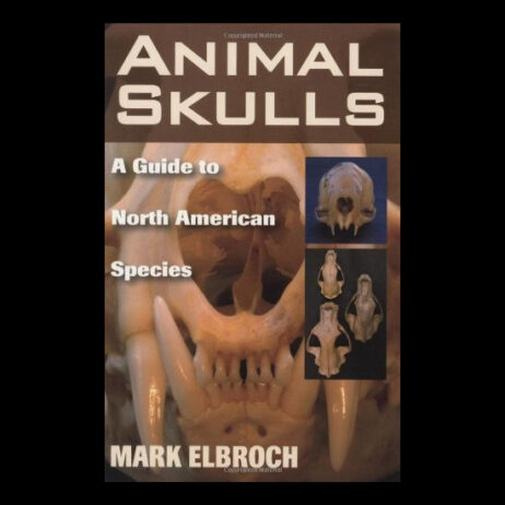 10899 animal skulls