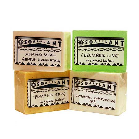 1 toi terrasoapexfol