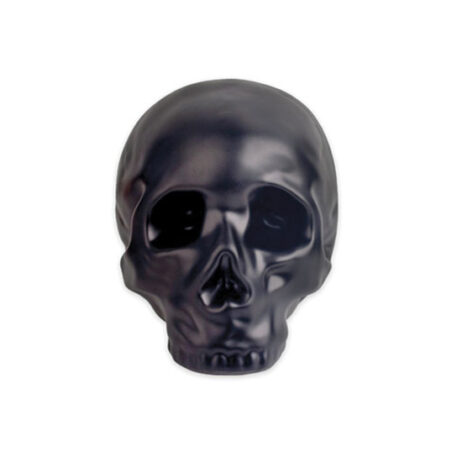 21999 skull coin bank