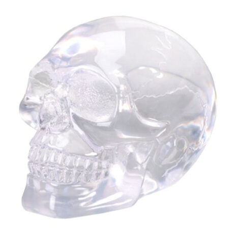 24442 skull translucent small