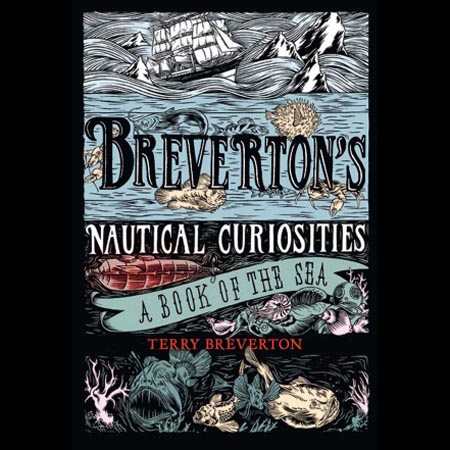 32314 brevertons nautical curiosities
