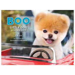 Boo: Little Dog In The Big City
