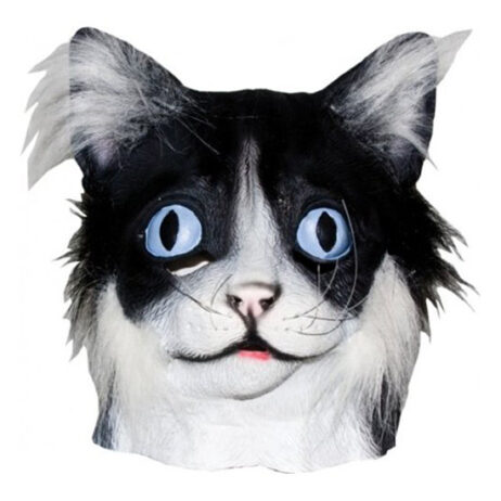 34982 cat mask.1