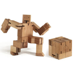 36131 dtl medium cubebot