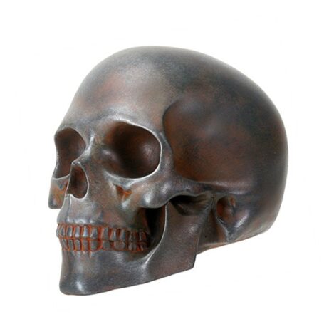 Skull With Rusted Finish