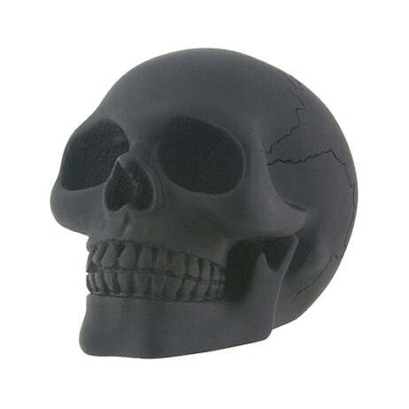4163 black skull small