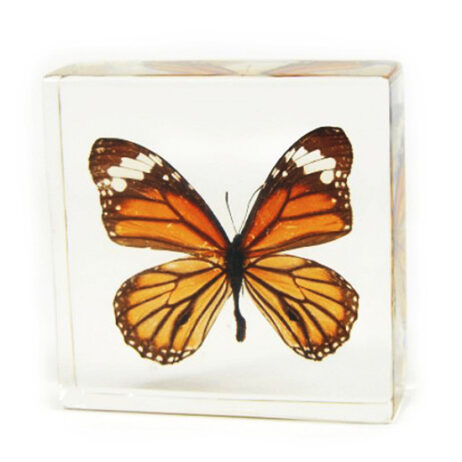 Monarch Butterfly Paperweight