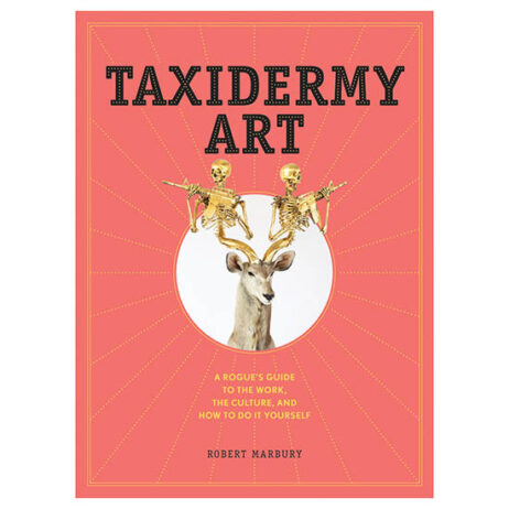 42403 taxidermy art