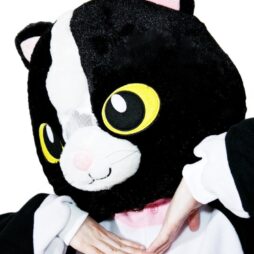 Big Fat Cat Head Mask e1596245976419