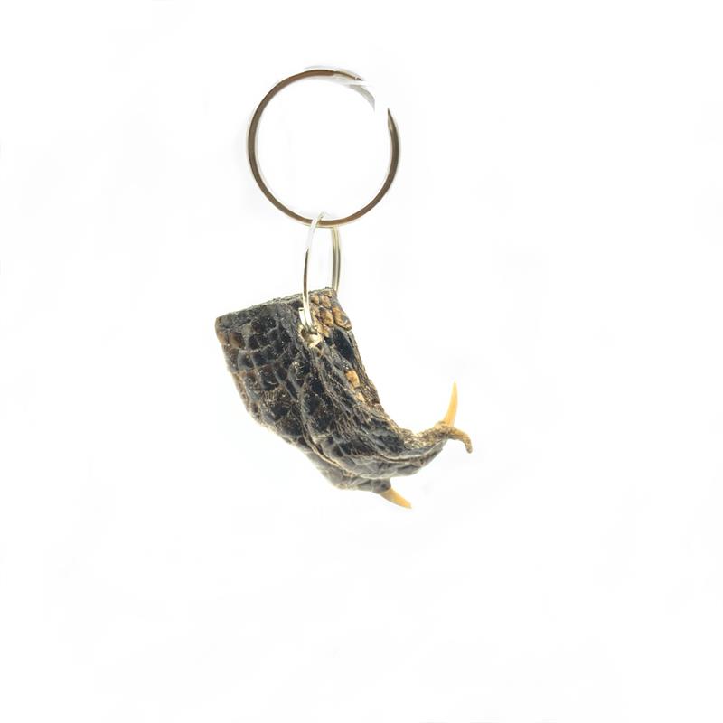 Alligator foot best sale keychain