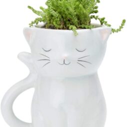 Cat Planter Streamline 1 e1597110944102