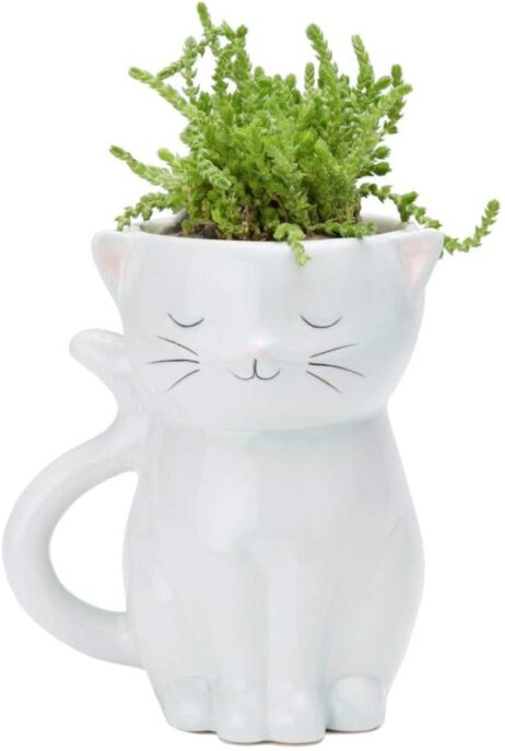 Cat Planter Streamline 1 e1597110944102