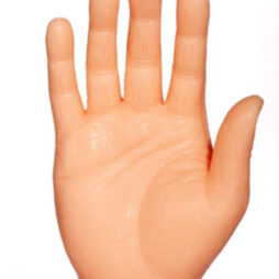 Finger Hands