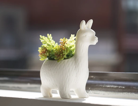 Lloyd The Llama Planter 3