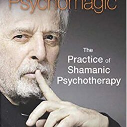 Manual Of Psychomagic Practice Book