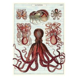 Octopods Flat Wrap e1612141306457