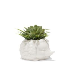 Prickles Hedgehog Planter