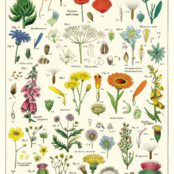 Vintage Wildflower Puzzle
