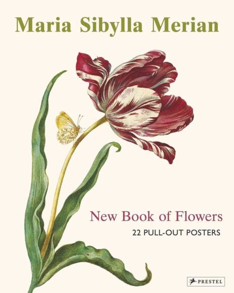 Maria Sibylla Merian Prints Book 1 e1599002833275