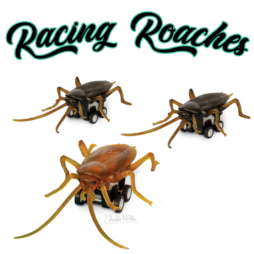 Racing Roaches e1599571380308