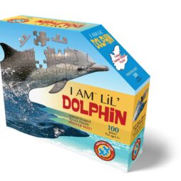 LilDolphinPuzzleBox3d 2048x2048.jpg