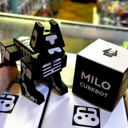 Milo Skeleton Cubebot