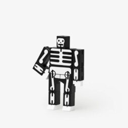 Skeleton Cubebot Micro