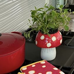 Mushroom Planter Medium