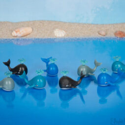 Itty Bitty Whales