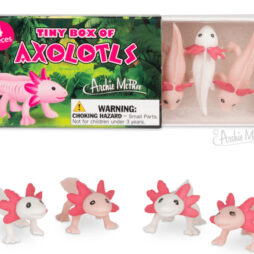 Tiny Box of Axolotls