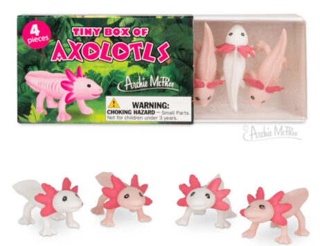 Tiny Box of Axolotls