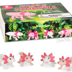 Tiny Box of Axolotls