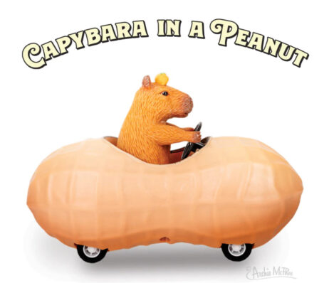 Capybara in a Peanut