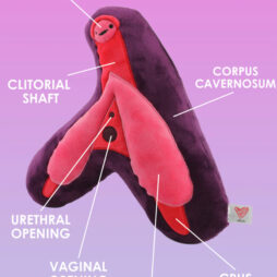 Clitoris Plush Toy