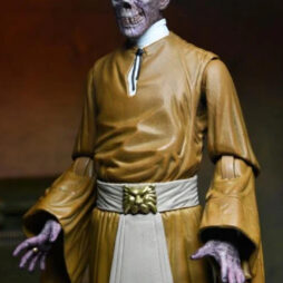 Ultimate Ardath Bey Mummy 7” Action Figure