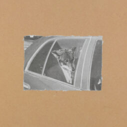 Some Collages by Jim Jarmusch