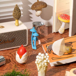 Mushroom Charm Blind Box