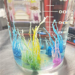 Magic Rocks Instant Crystal Growing Kit