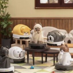 Robocat Wind-Up Blind Box