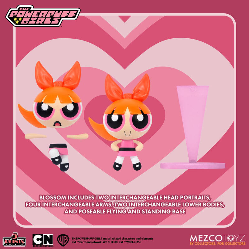 Blossom Powerpuff Girls 5 Points Action Figure